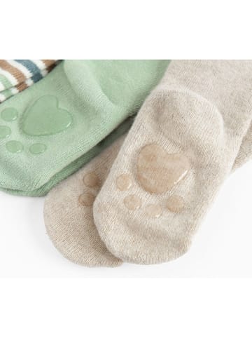 COOL CLUB 3-delige set: sokken beige/groen