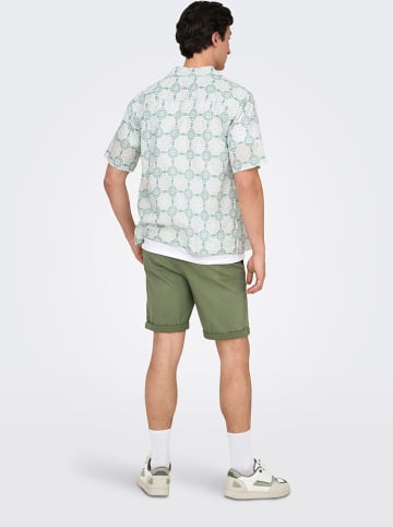 ONLY & SONS Shorts "Peter" in Grün