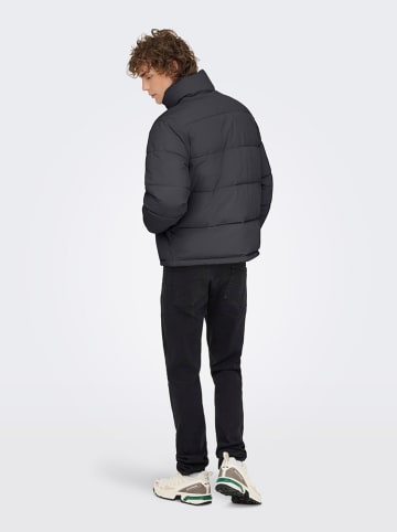 ONLY & SONS Winterjacke "Pack Life" in Schwarz