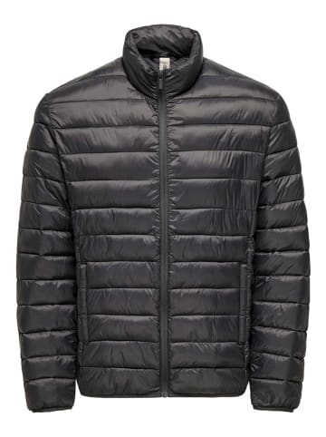 ONLY & SONS Steppjacke "Gavin" in Schwarz