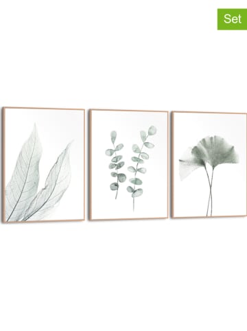 Orangewallz 3er-Set: Gerahmte Kunstdrucke "Pure"