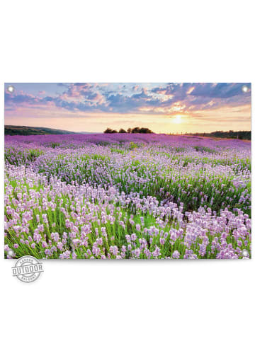 Orangewallz Outdoor-Kunstdruck "Sunset Lavender Field"