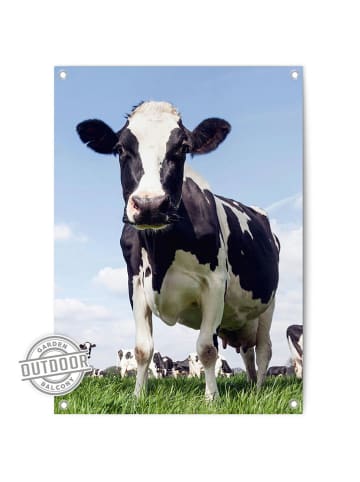Orangewallz Outdoor kunstdruk "Summer Meadow Cow"