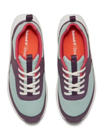 Timberland Sneakers "Motion Access" in Türkis/ Lila