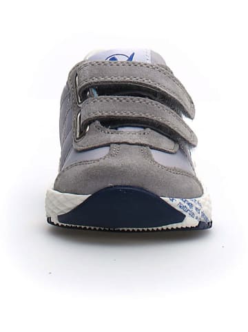 Naturino Sneakersy "Jesko" w kolorze szarym