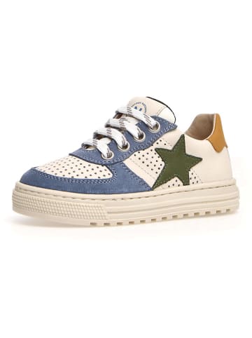 Naturino Leder-Sneakers "Hess" in Creme