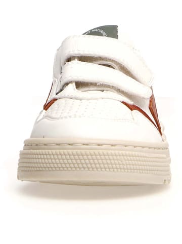 Naturino Leder-Sneakers "Ceonia" in Weiß