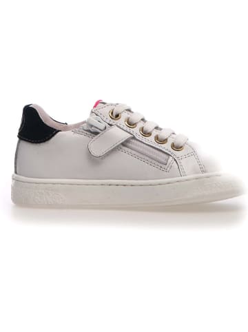 Naturino Sneakers "Pinn" in Weiß