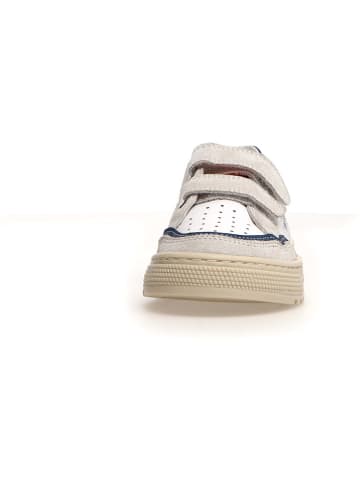 Naturino Leder-Sneakers "Ariton" in Weiß/ Grau