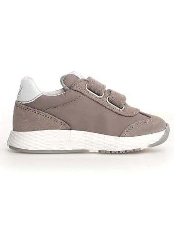 Naturino Leren sneakers "Jesko" lichtgrijs