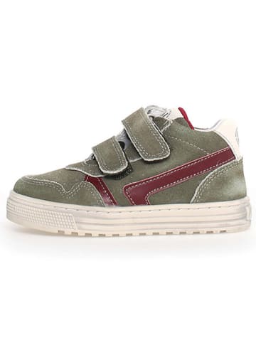 Naturino Leren sneakers "Ceonia" groen