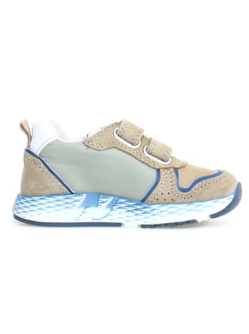 Naturino Leren sneakers "Althidon" beige/blauw