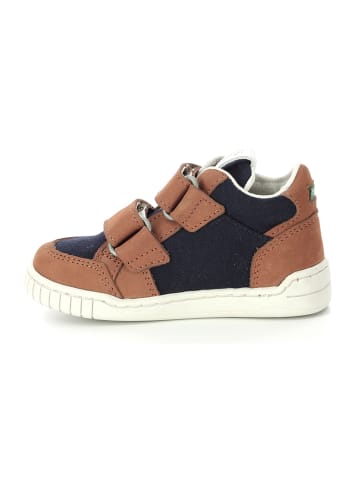 Kickers Sneakers "Wincky Vel" in Hellbrau