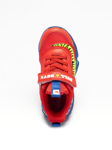 Bull Boys Sneakers "T-Rex" in Rot/ Blau