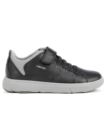 Geox Sneakers "Nebcup" in Schwarz
