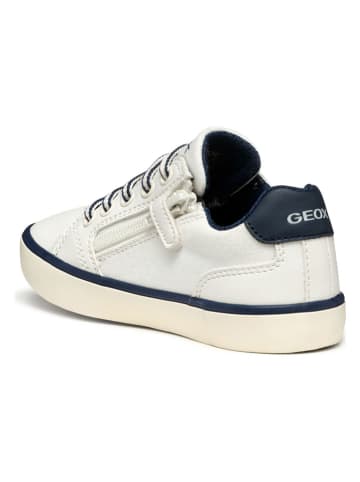Geox Sneakers "Gisli" in Weiß/ Schwarz