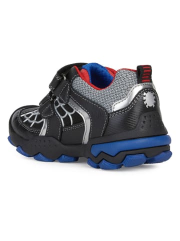Geox Sneakers "Buller" meerkleurig