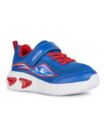 Geox Sneakers "Lights - Assister" blauw/rood