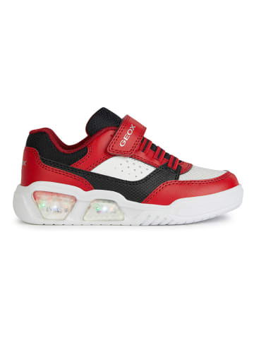 Geox Sneakers "Lights - Illuminus" rood/zwart