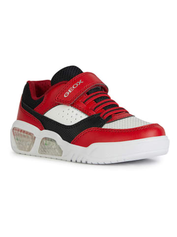 Geox Sneakersy "Lights - Illuminus" w kolorze czerwono-czarnym