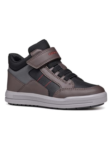 Geox Sneakers "Arzach" in Schwarz/ Braun