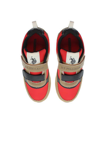 U.S. Polo Assn. Sneakers in Hellbraun/ Rot