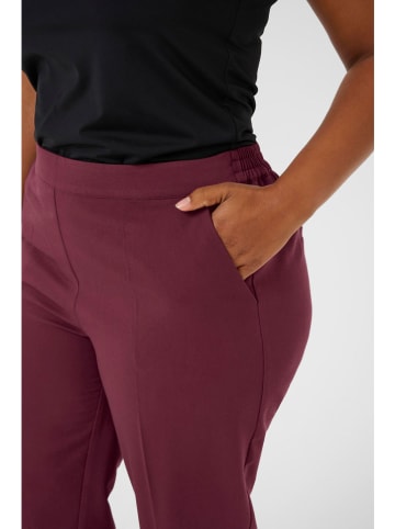 KAFFE curve Spodnie "Sakira" w kolorze bordowym