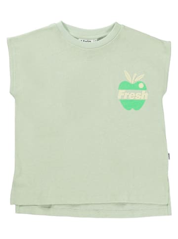 molo Shirt in Grün
