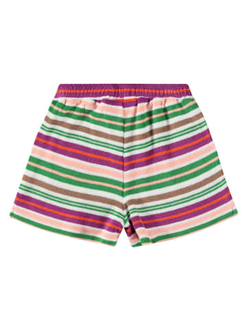 molo Shorts in Bunt