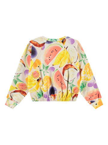 molo Sweatshirt meerkleurig