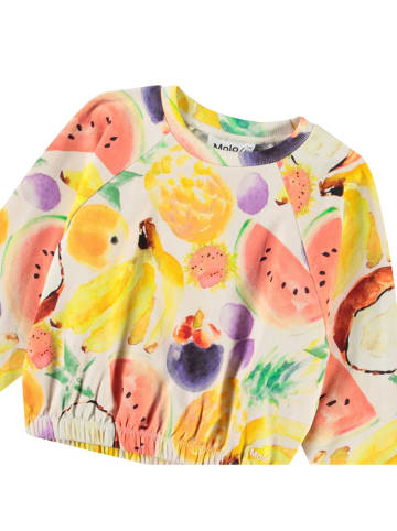 molo Sweatshirt meerkleurig