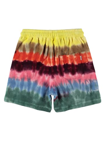 molo Shorts in Bunt