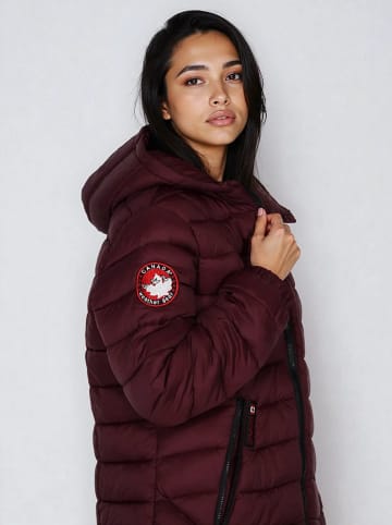 CANADA weather gear Kurtka pikowana w kolorze bordowym