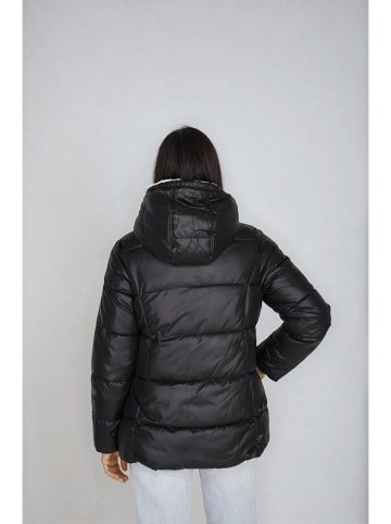 Steve Madden Winterjas zwart