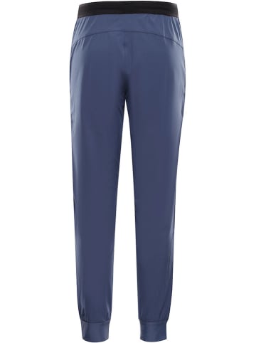Alpine Pro Funktionsleggings "Gerwa 3" in Grau