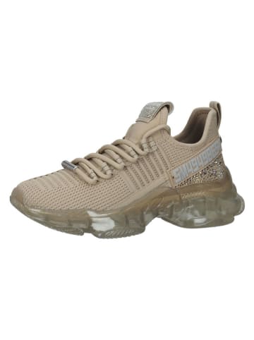 Steve Madden Sneakers in Beige