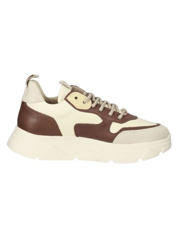 Steve Madden Sneakers beige/bruin
