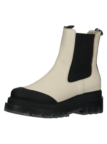 Steve Madden Leren chelseaboots crème/zwart