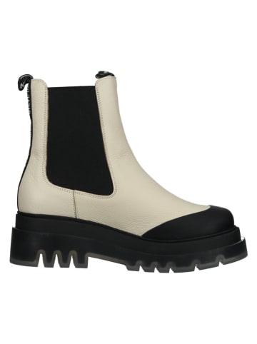 Steve Madden Leder-Chelsea-Boots in Creme/ Schwarz
