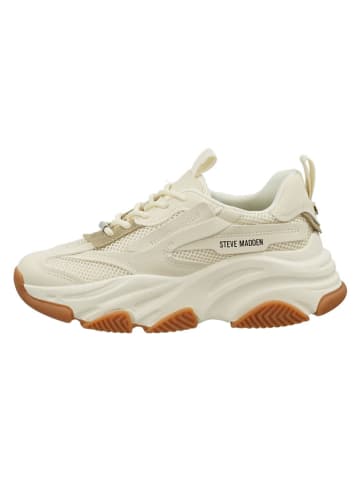 Steve Madden Sneaker in Creme