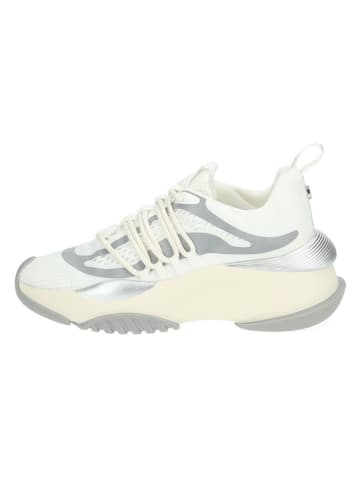 Steve Madden Sneakers wit/zilverkleurig