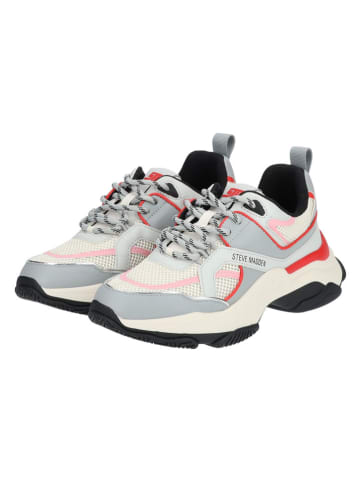 Steve Madden Sneakers in Grau/ Rot