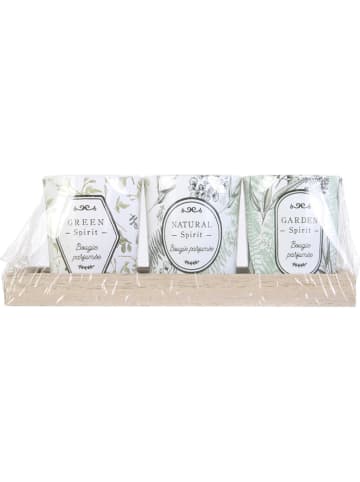 Ethnical Life 4tlg. Duftkerzen-Set in Weiß/ Natur, 3x 30 g