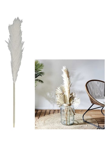 Ethnical Life 2er-Set: Kunstpflanzen in Creme - (H)120 cm