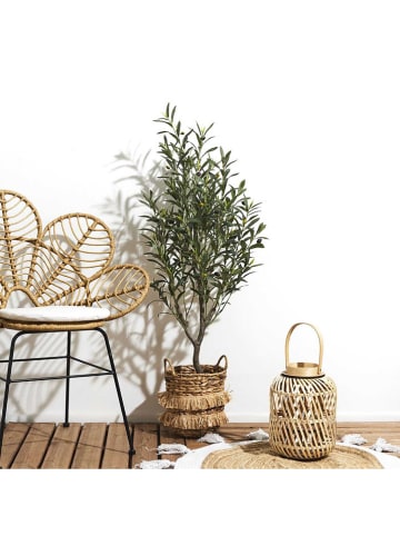 Ethnical Life Kunstplant groen - (H)120 x Ø 30 cm