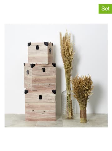 Ethnical Life Skrzynie (3 szt.) w kolorze jasnobrązowym do przechowywania