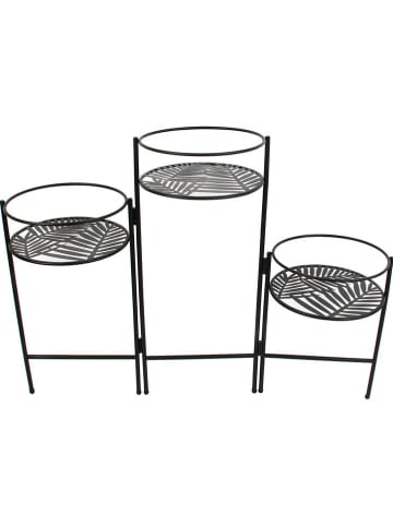 Ethnical Life Pflanzenständer in Schwarz - (B)66,5 x (H)50 x (T)21 cm