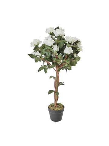 Garden Spirit Sztuczna roślina w kolorze beżowo-zielonym - wys. 90 cm