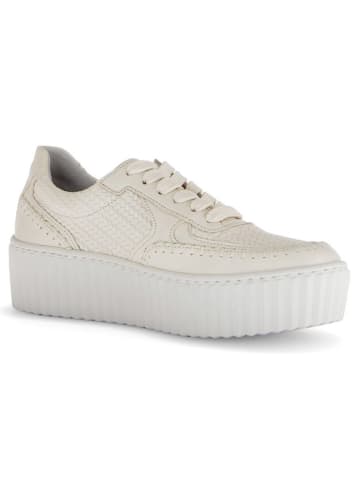 Gabor Leder-Sneakers in Beige
