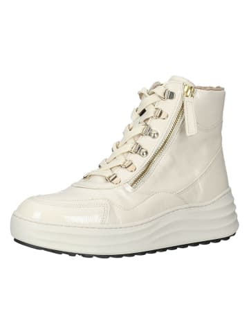 Gabor Leder-Sneakers in Creme